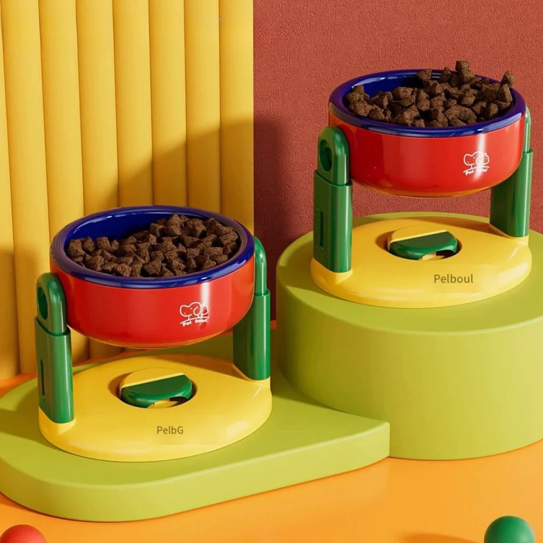 Gamelle Réglable Antidérapante pour Chat